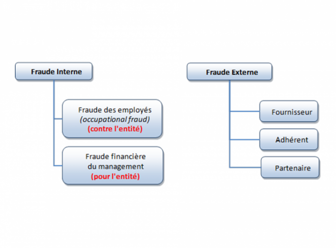 La fraude se divise en deux catÃ©gories, Ideo audit - Contact